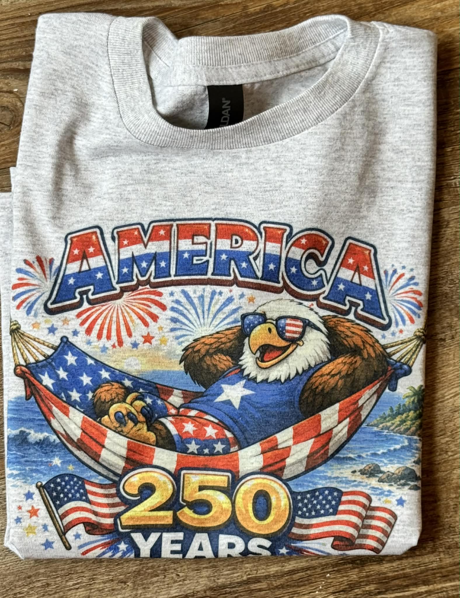 America 250 Years Chillin' Eagle Graphic Tee